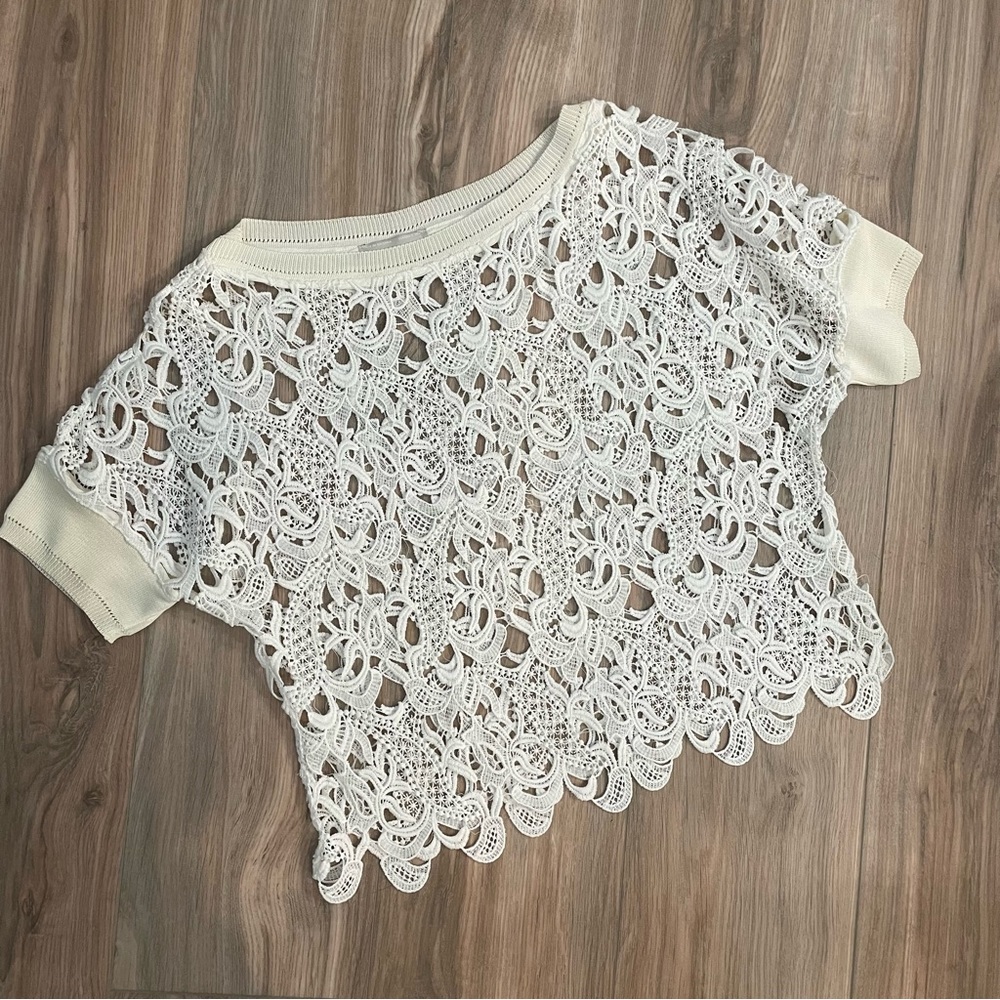Like New gorgeous Zara crochet top